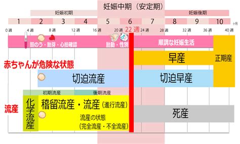 妊娠初期 夫婦生活|【産婦人科医監修】安定期はいつからいつまで？妊娠。